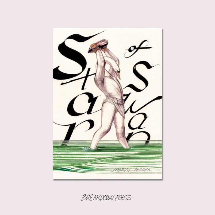 STAR OF SWAN by Margot Ferrick